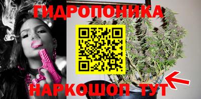 прущая мука Кингисепп