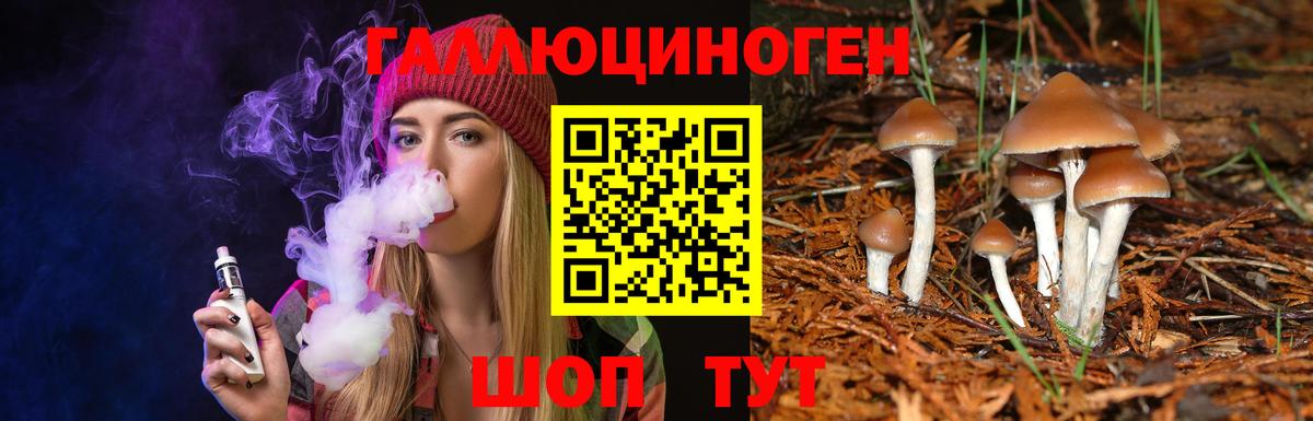 Галлюциногенные грибы Cubensis  Галлюциногенные грибы мухоморы  Кандалакша  Вход с VPN 